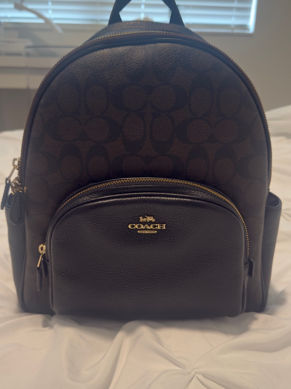 Coach Men's Dark Brown Signature Mini Backpack with Gold Hardware